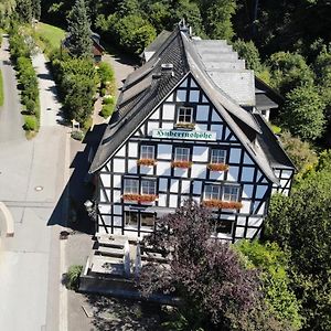 Hotel & Gasthof Hubertushoehe - Ihr Hotel Fuer Urlaub Mit Hund